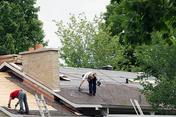 Best Gutter Installation and Roofing  in Golden Valley, AZ